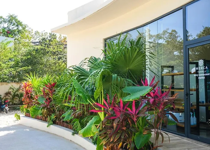 Temple Loft Rooftop Infinity Selva Tulum